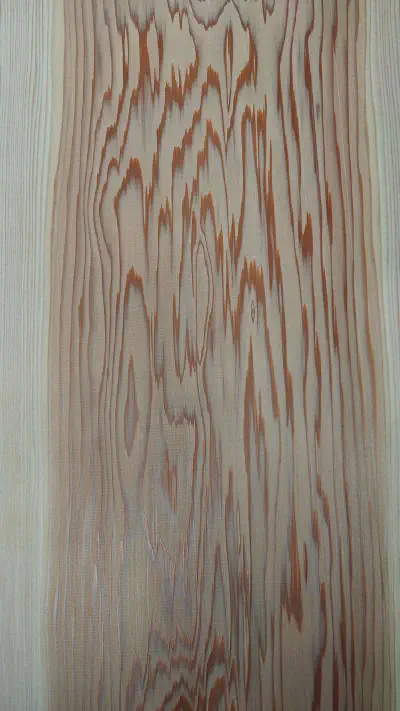 杉(スギ)