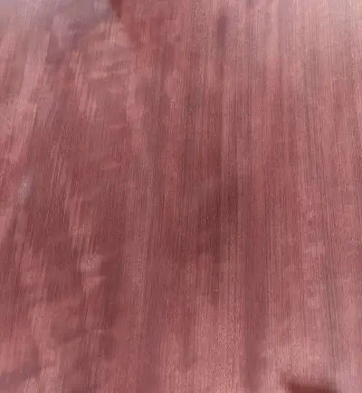 パープルハート