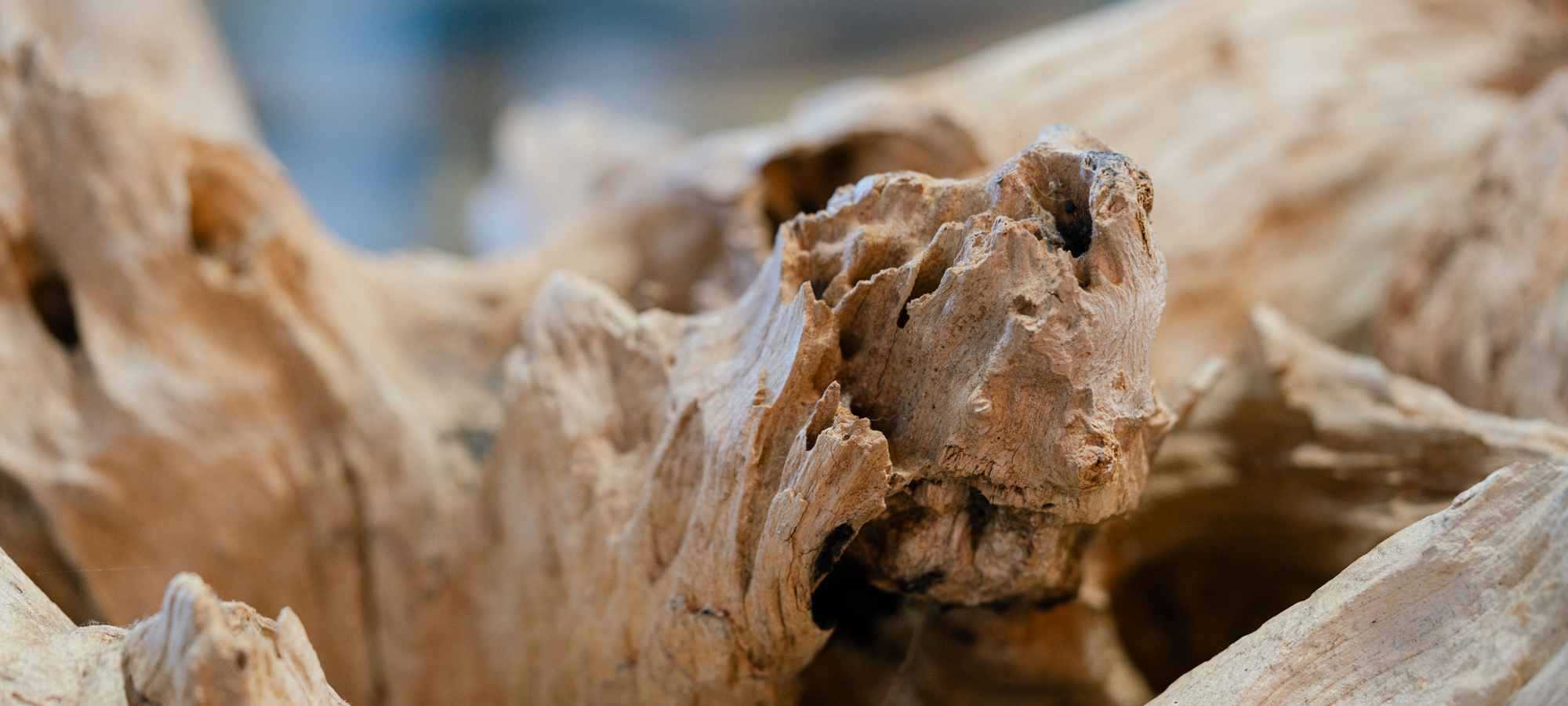 wood gallery Header